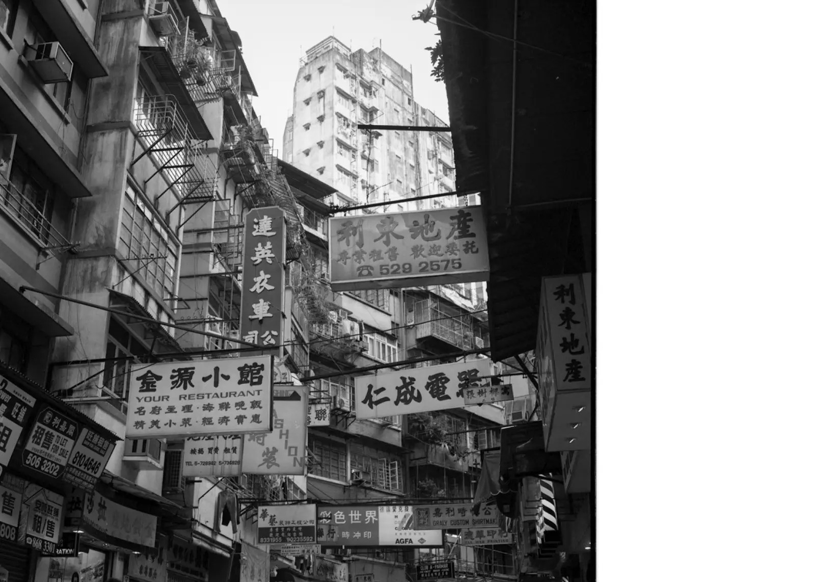 Hong Kong 1992–1997 image 8