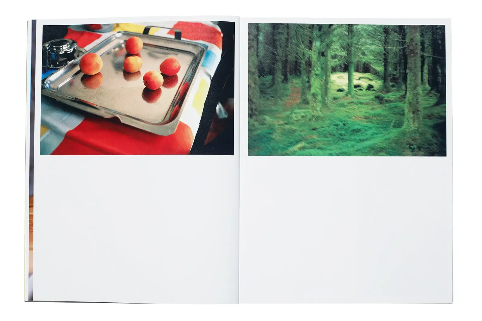 The Vulgarity of Being Three-Dimensional image 7