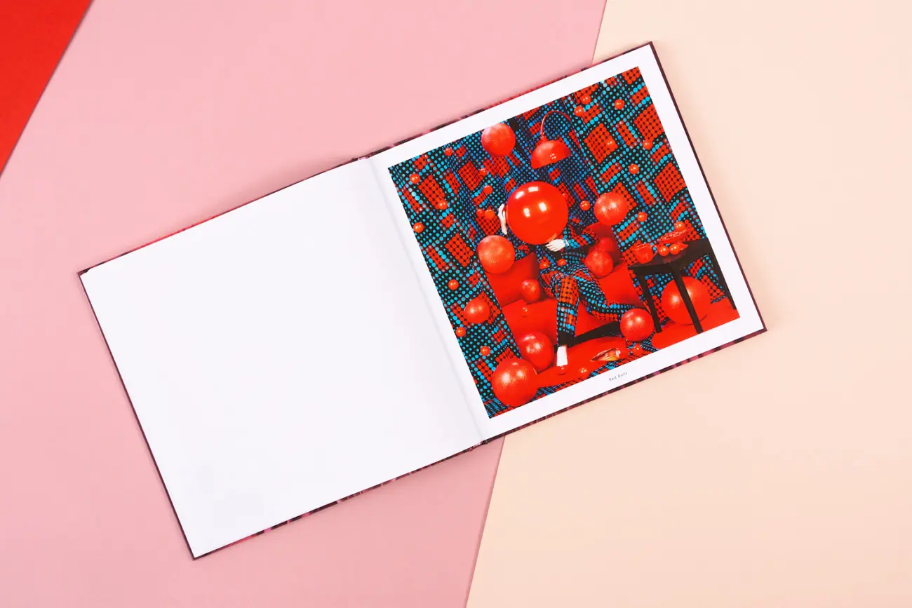 Domestic Demise image 6