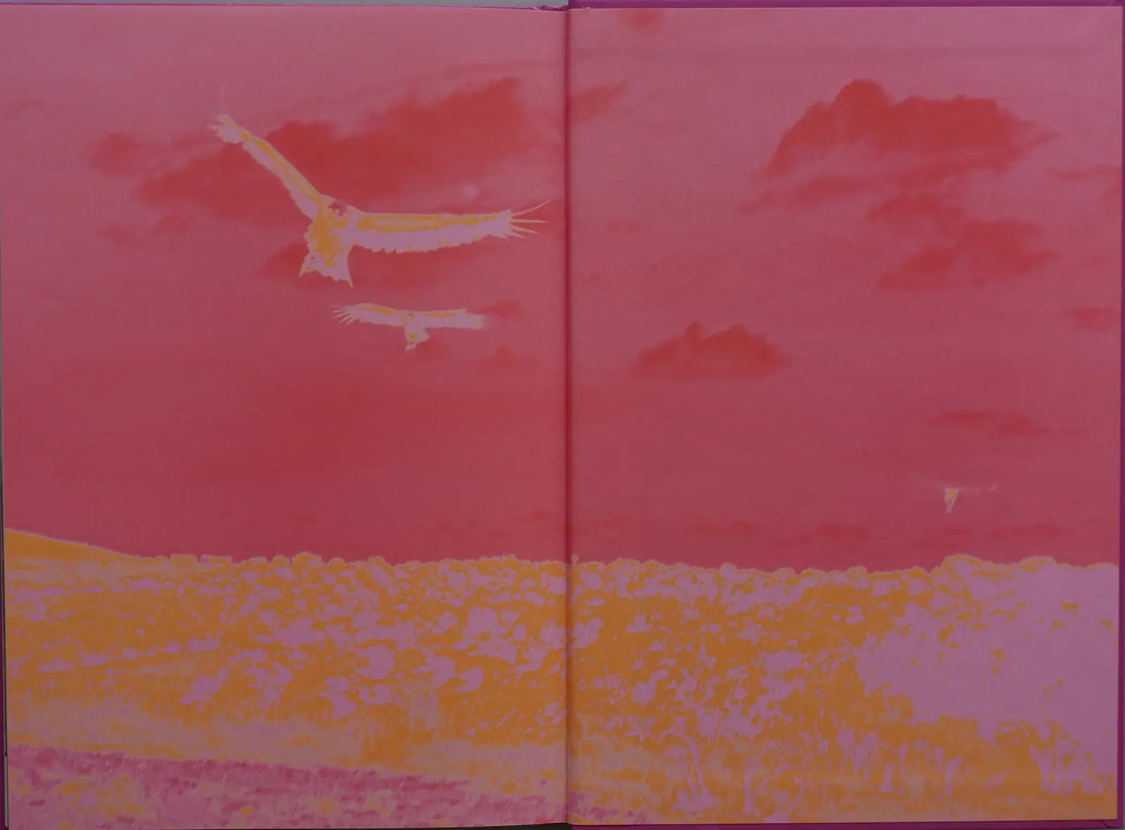 Anima - Encounters With Wild Animals In Portugal image 2