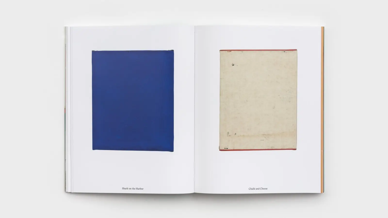 Julia Rommel image 7