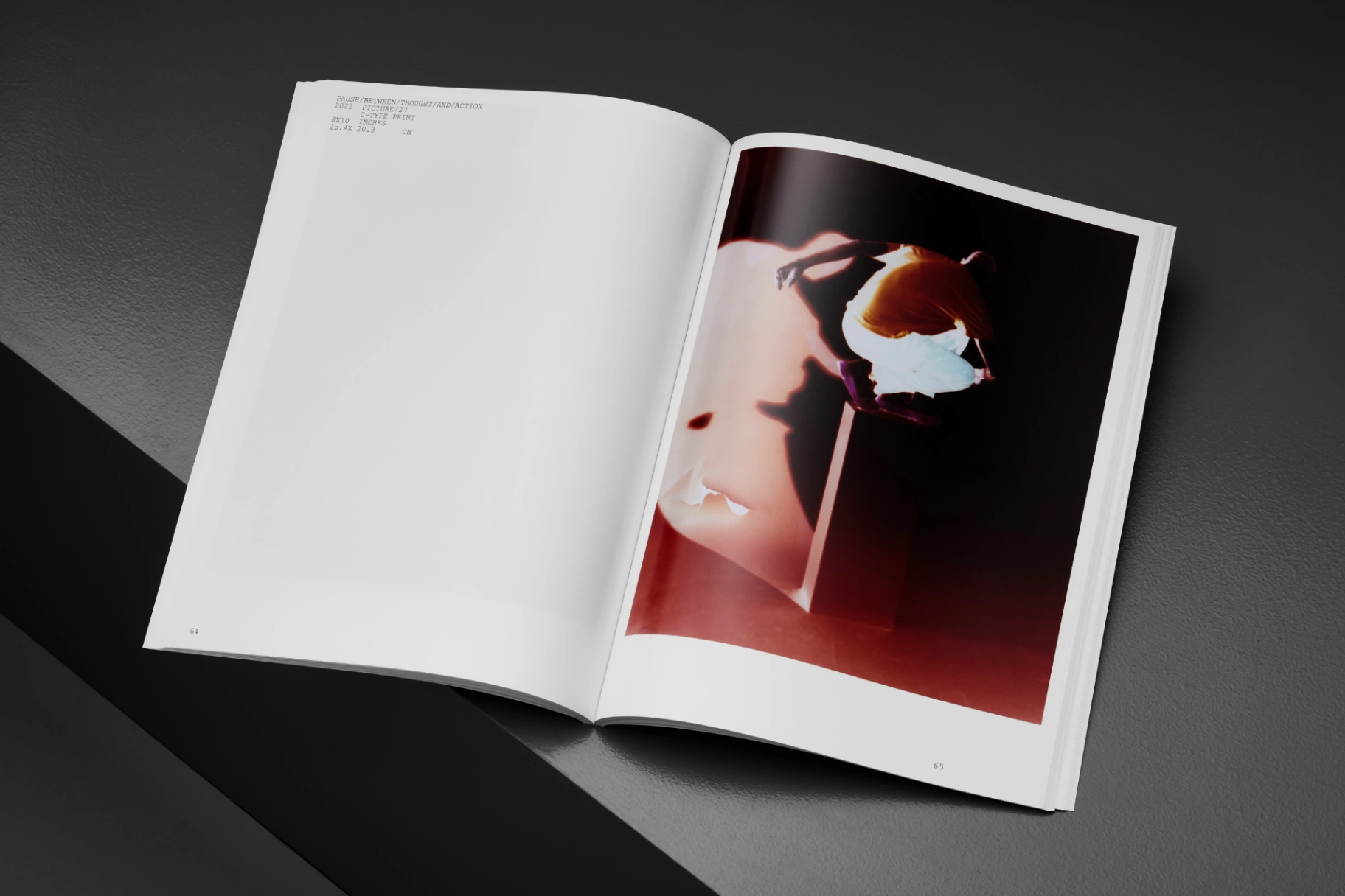 Pause Between Thought and Action image 4