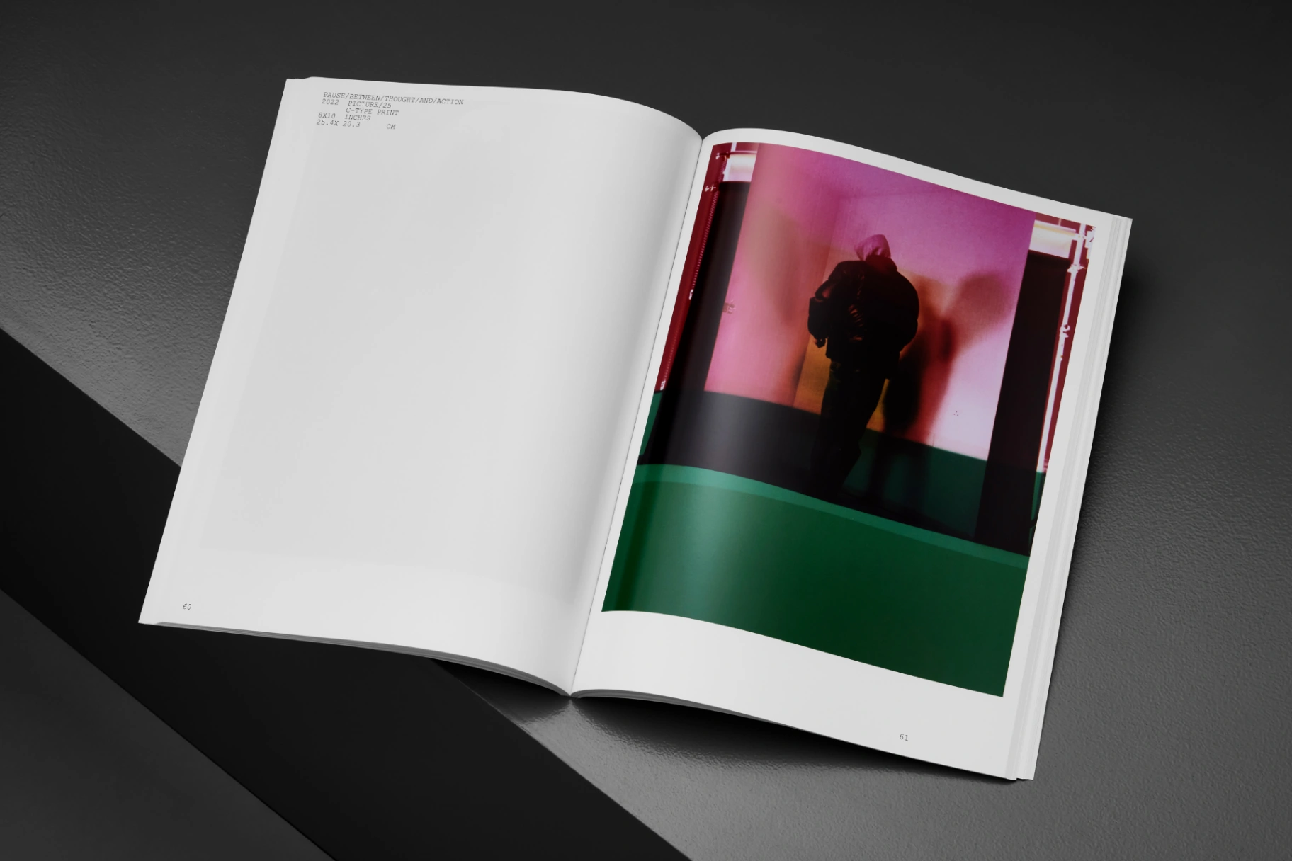 Pause Between Thought and Action image 2