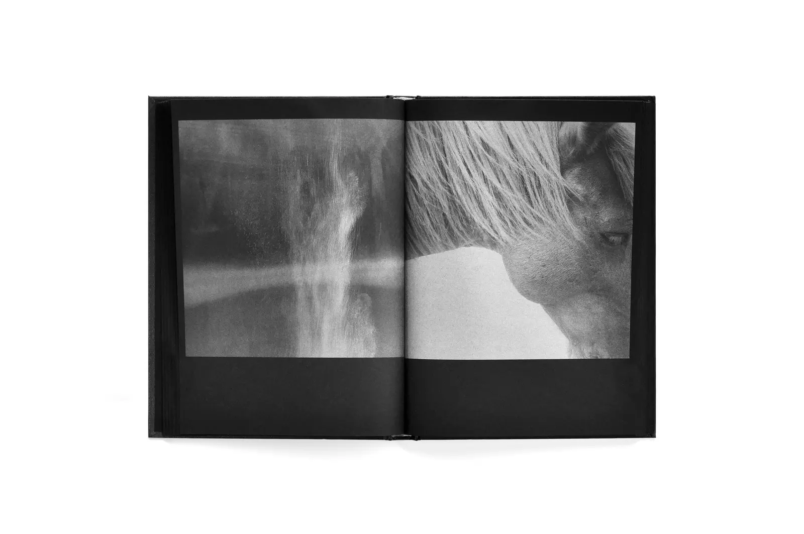 Astres Noirs image 6