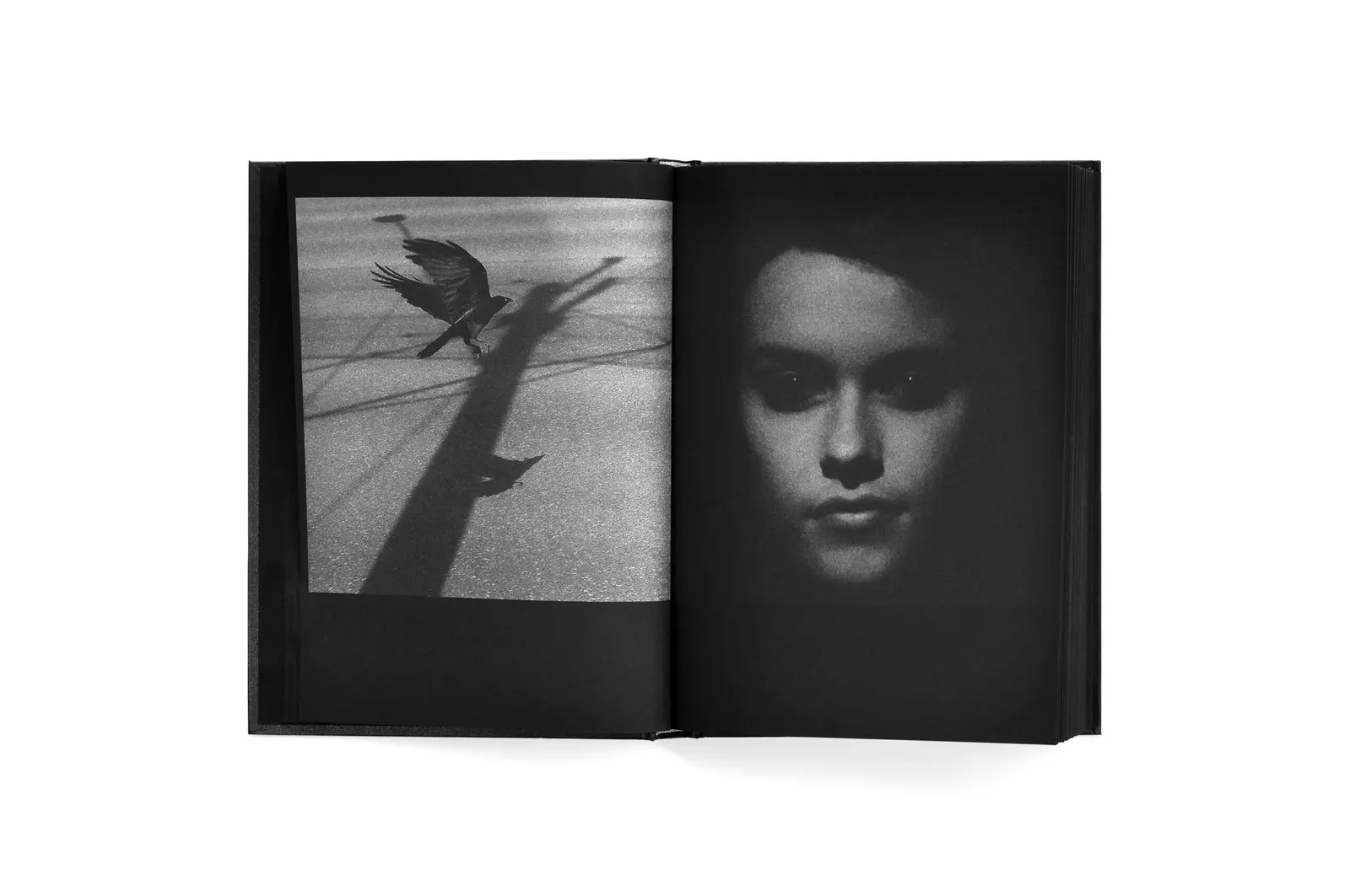 Astres Noirs image 10