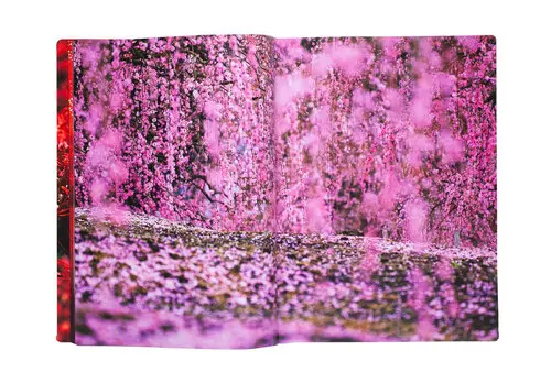 Eternity in a Moment Vol. 2 image 3