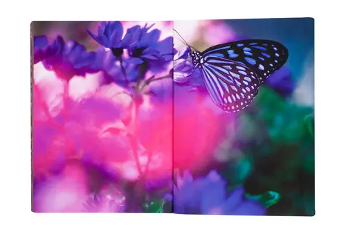 Eternity in a Moment Vol. 2 image 7