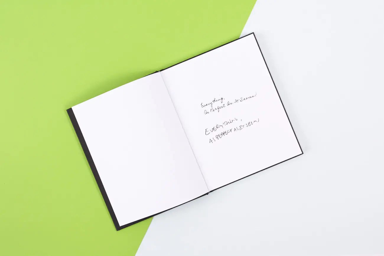 Everything, As Perfect As it Seems image 2