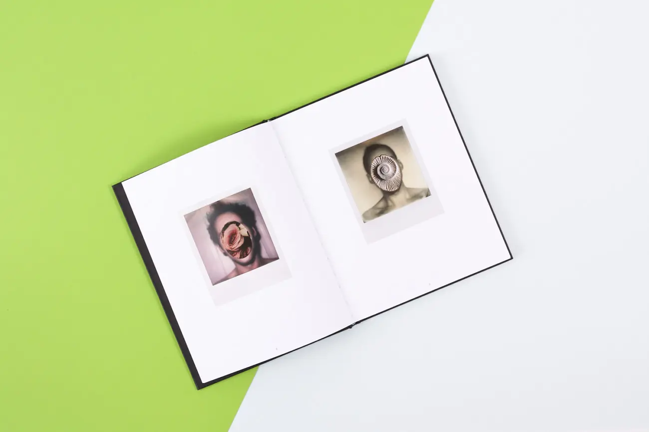 Everything, As Perfect As it Seems image 3