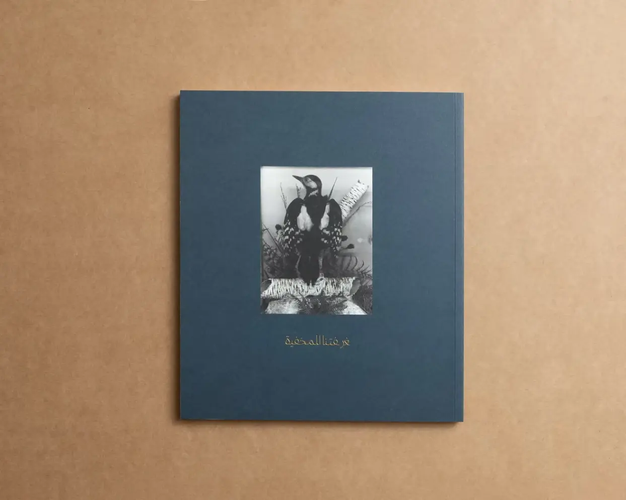 Nuestra Habitación Secreta image 5