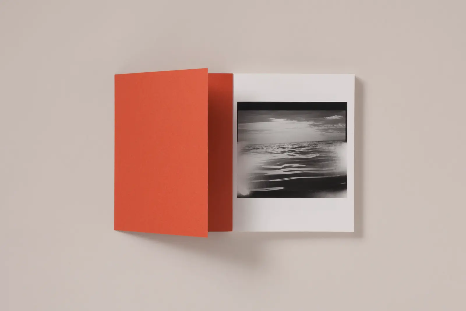 between the skin and sea image 2