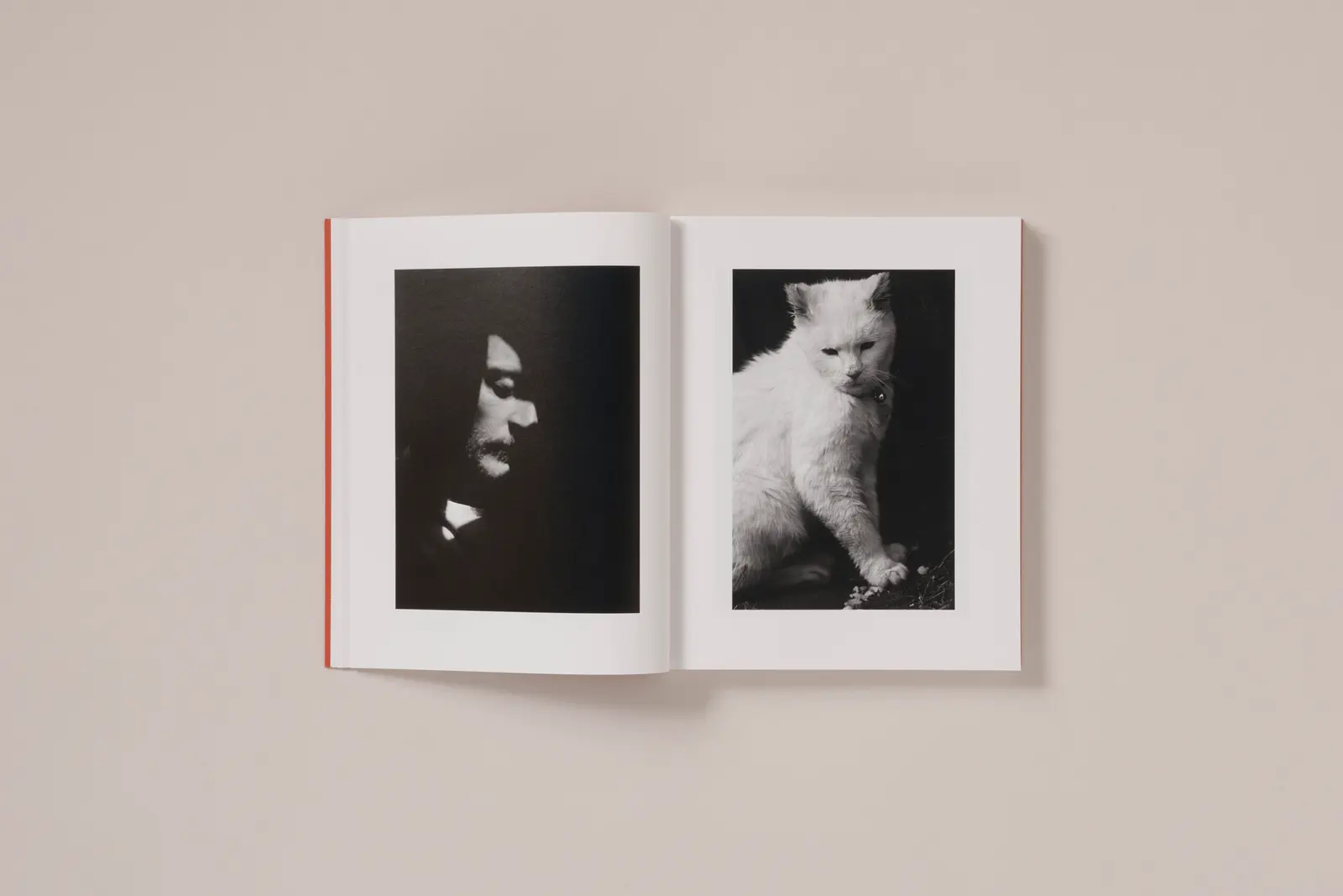 between the skin and sea image 5