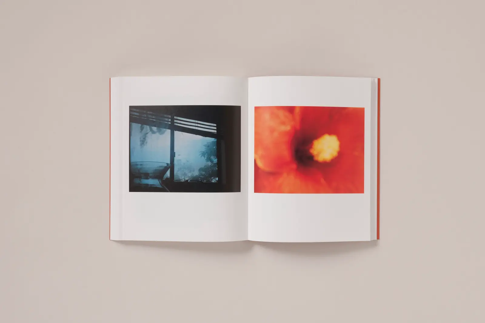 between the skin and sea image 8