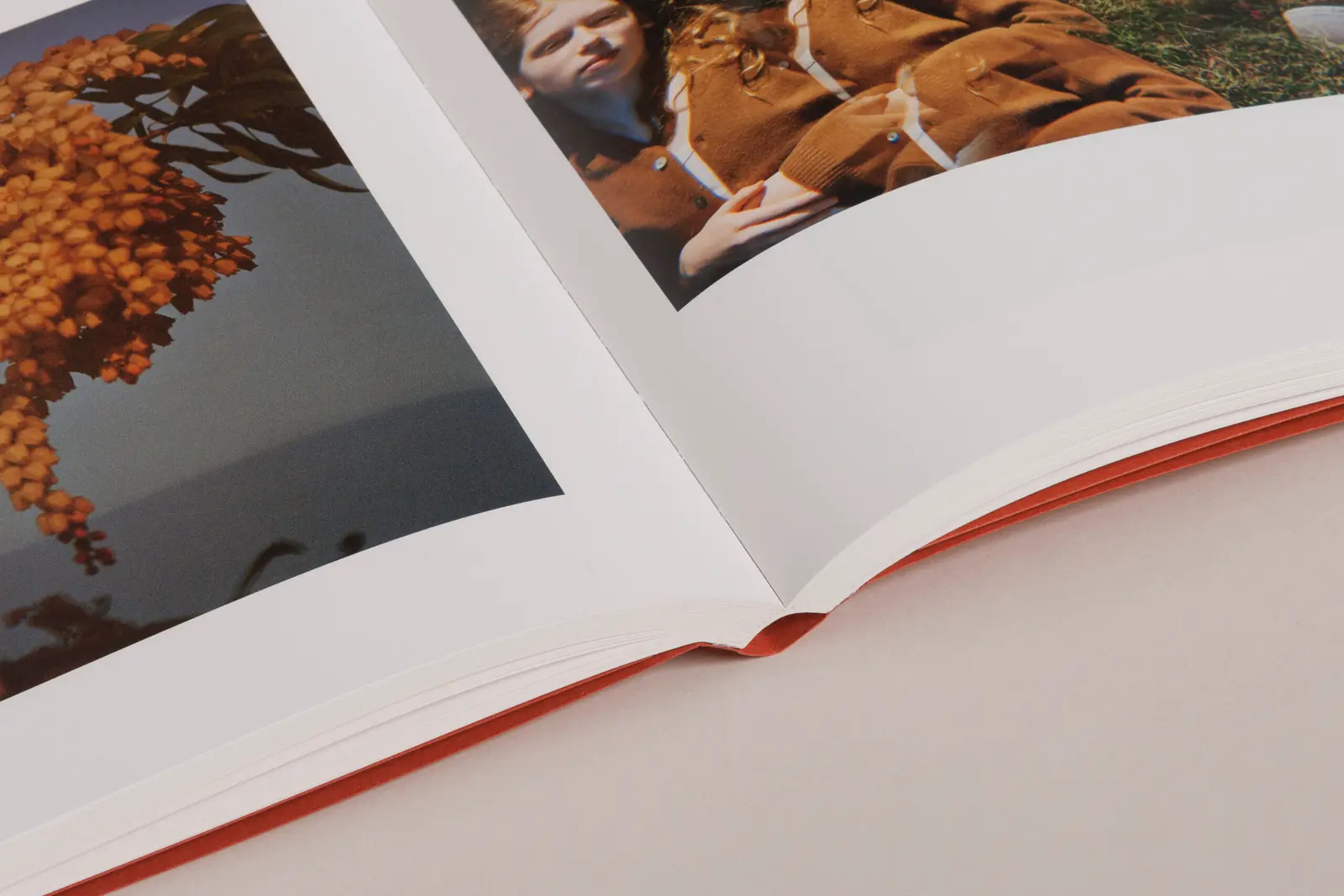 between the skin and sea image 10