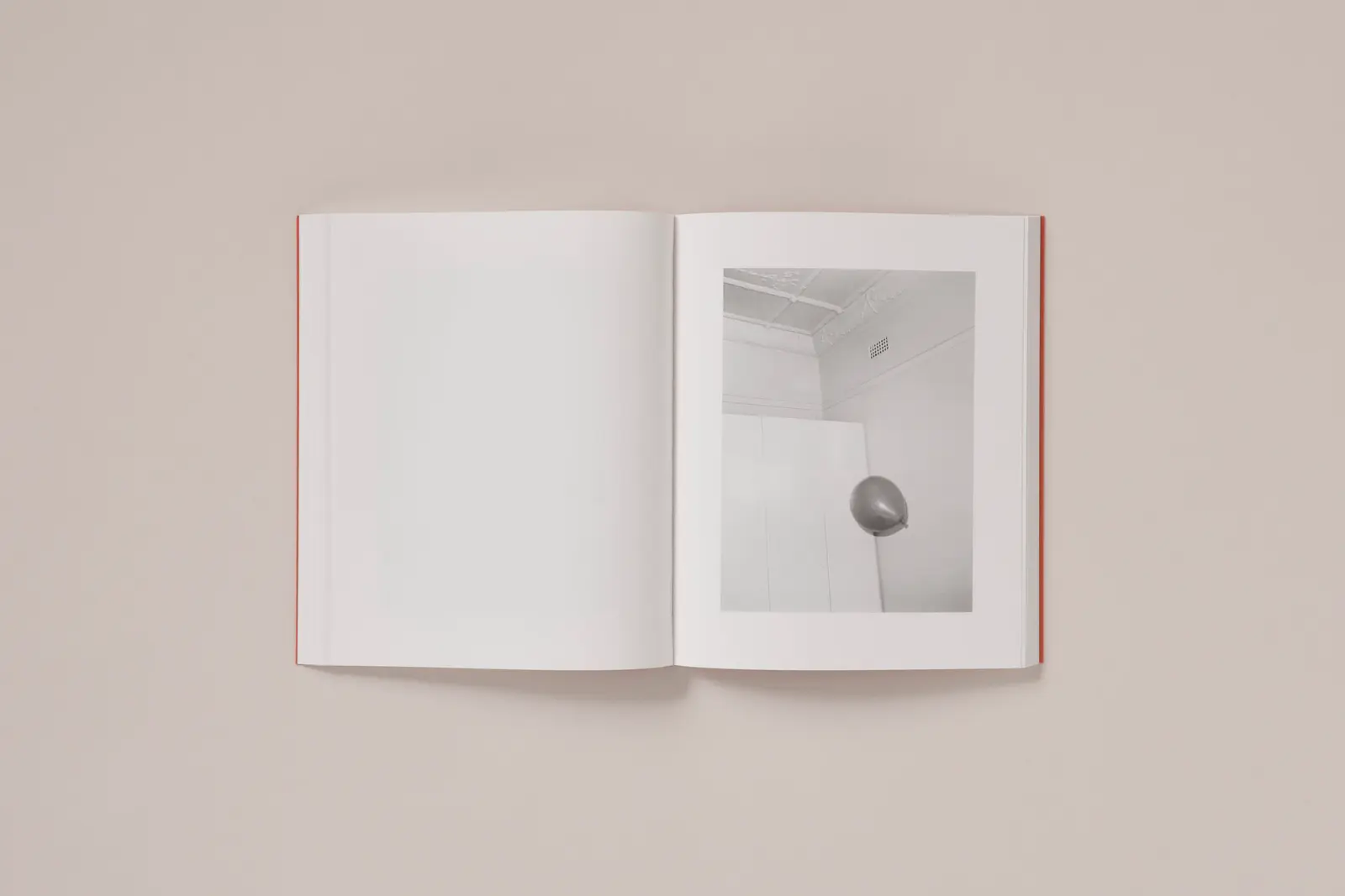 between the skin and sea image 11