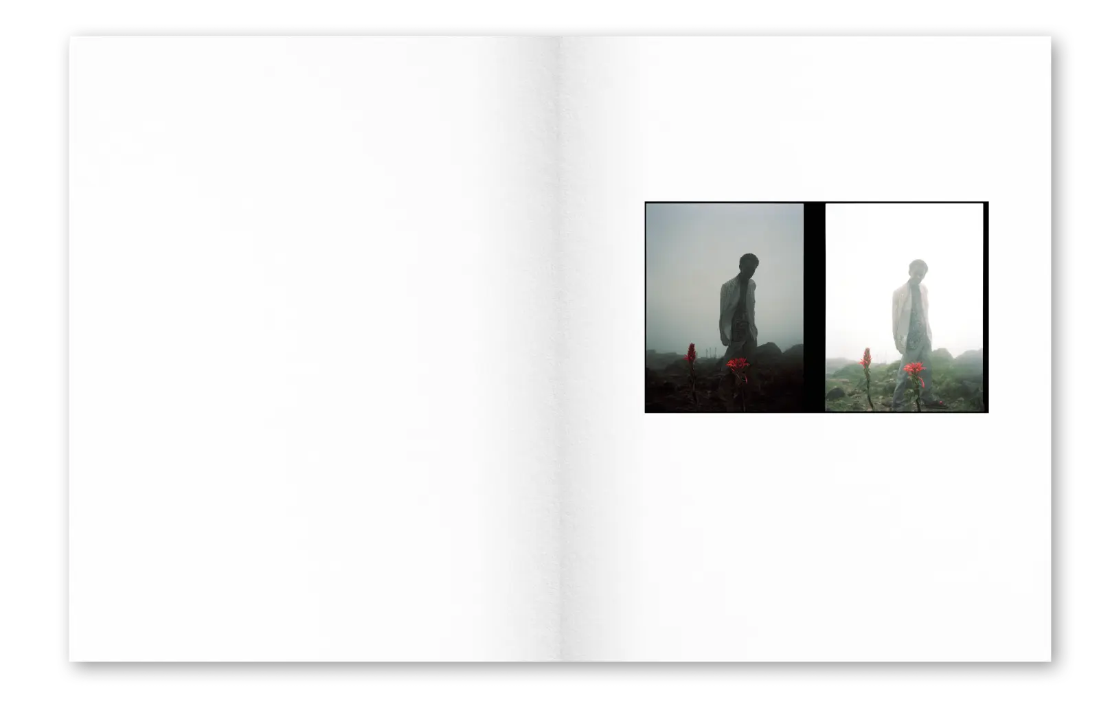 La Soufrière image 7