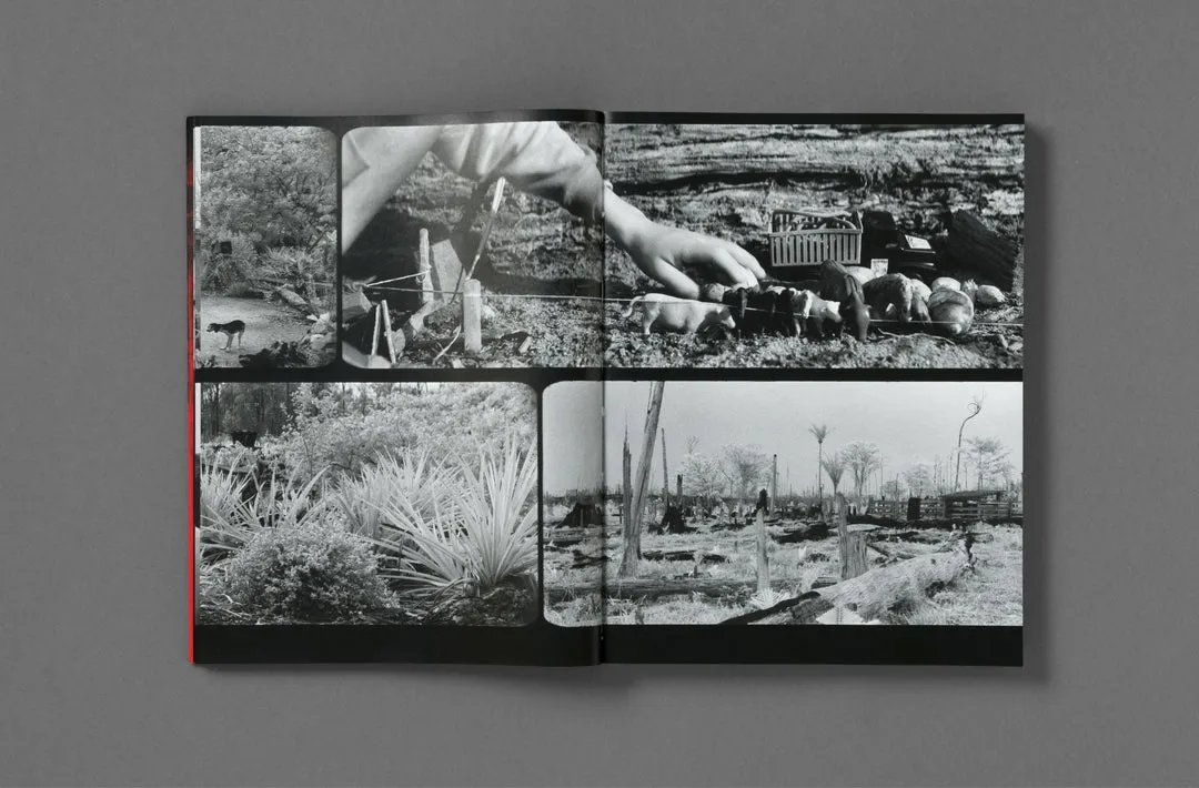 Broken Spectre image 6