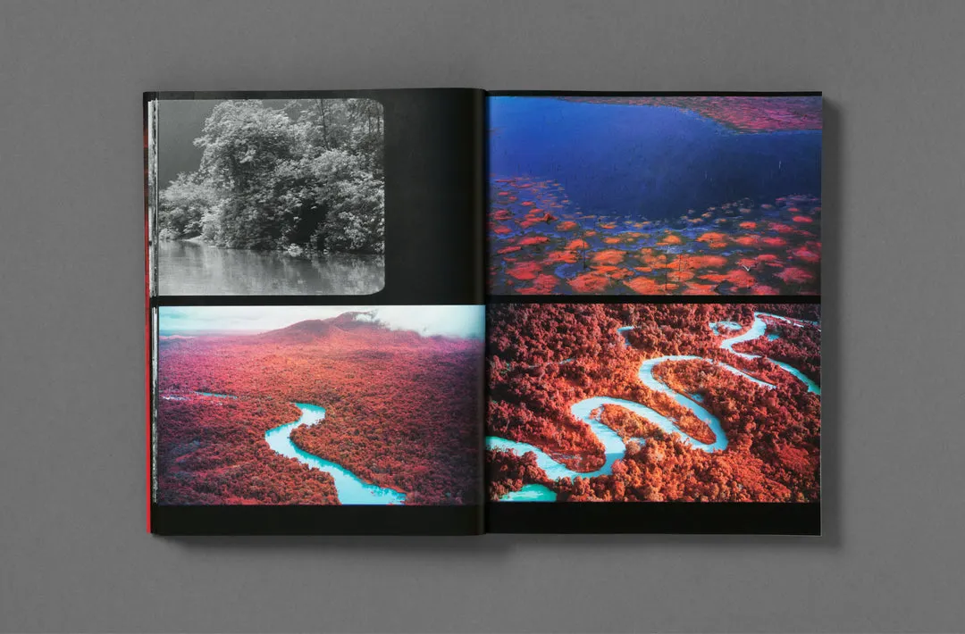 Broken Spectre image 7