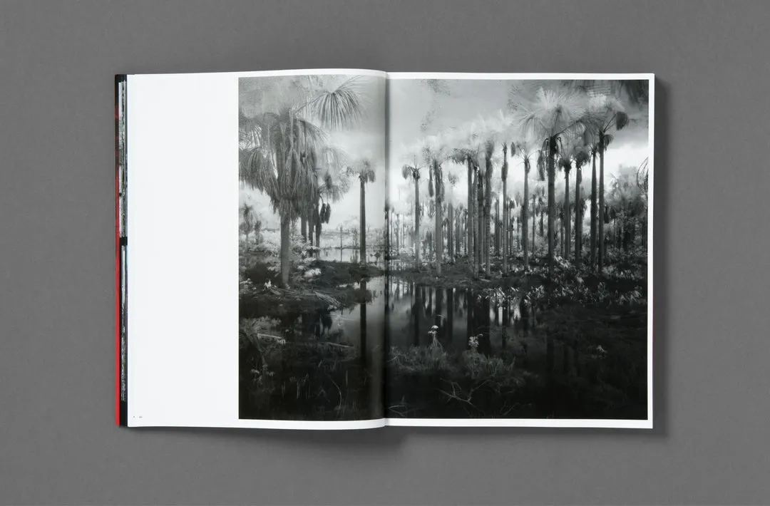 Broken Spectre image 8