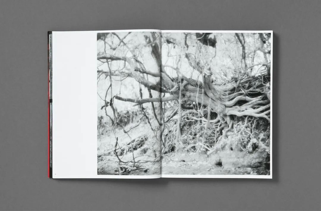 Broken Spectre image 9