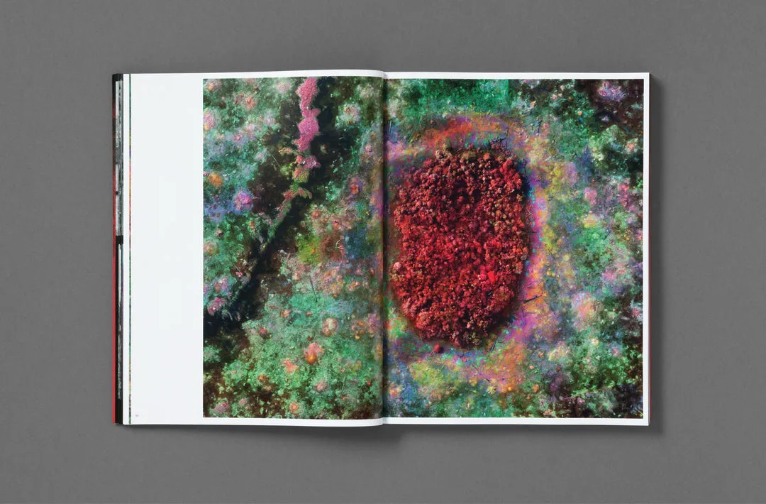 Broken Spectre image 10