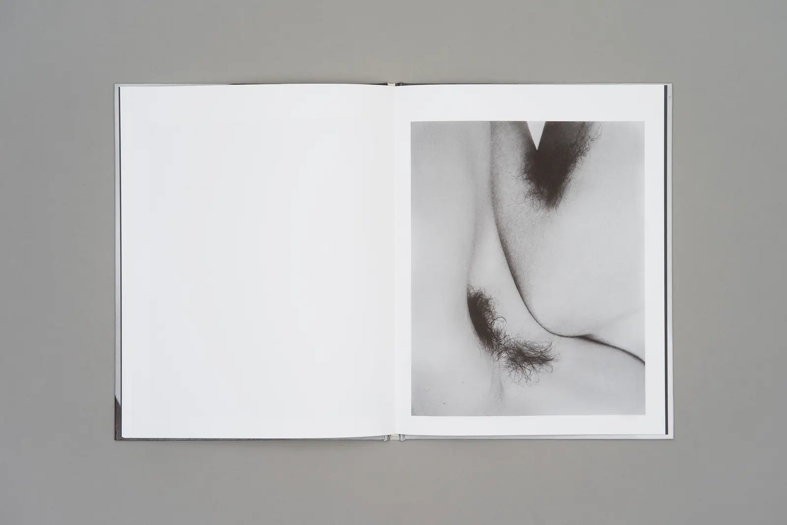 She Is Warm image 11