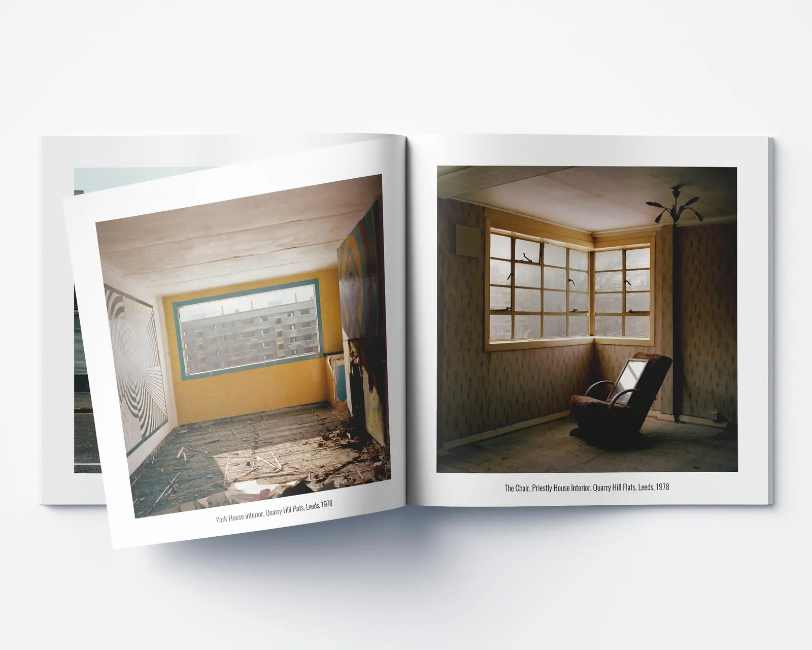 Now You See Them Soon You Won't image 4