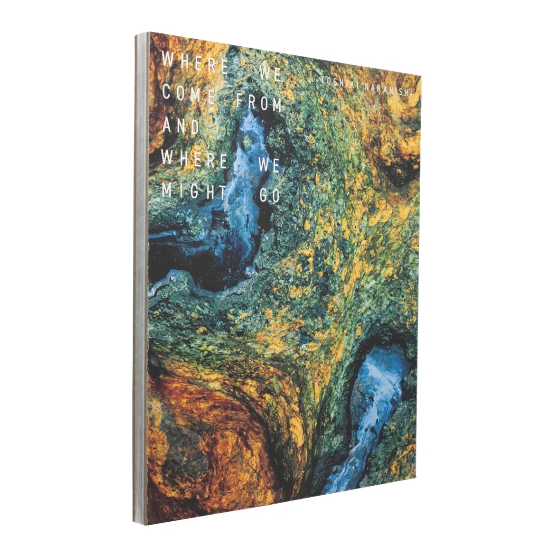 Where We Come From and Where We Might Go