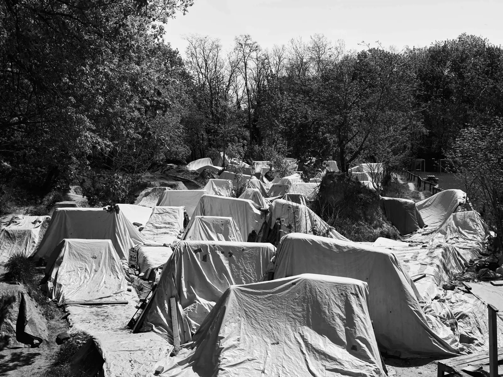 people things image 6