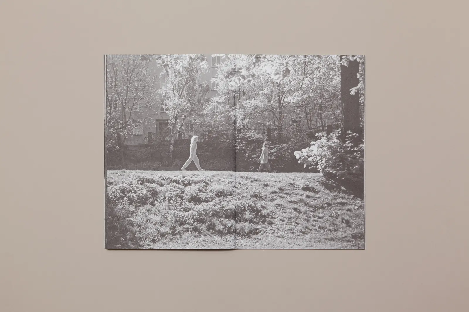 A Day in the Life of... image 4