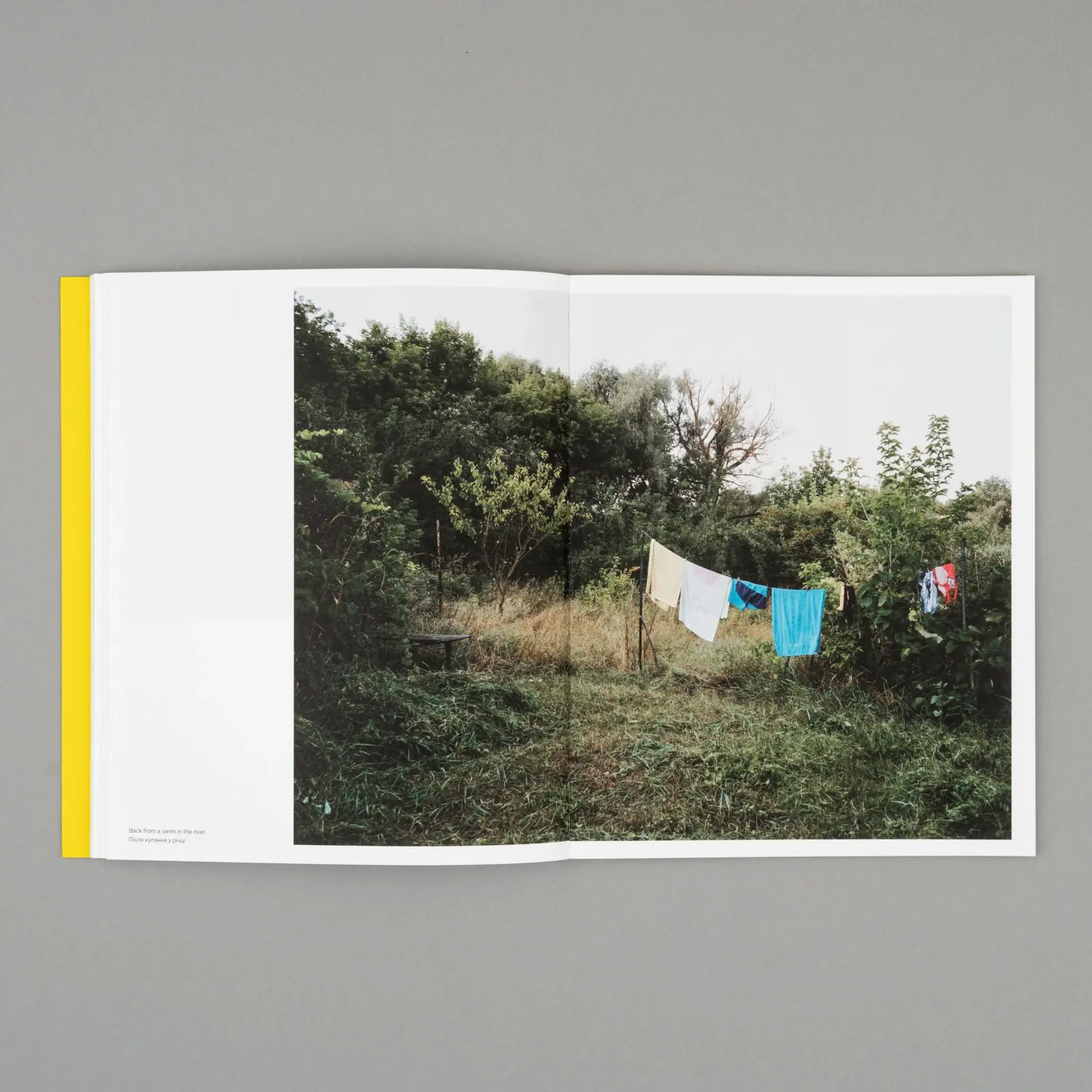 ‘The Land is Yellow, the Sky is Blue' image 2