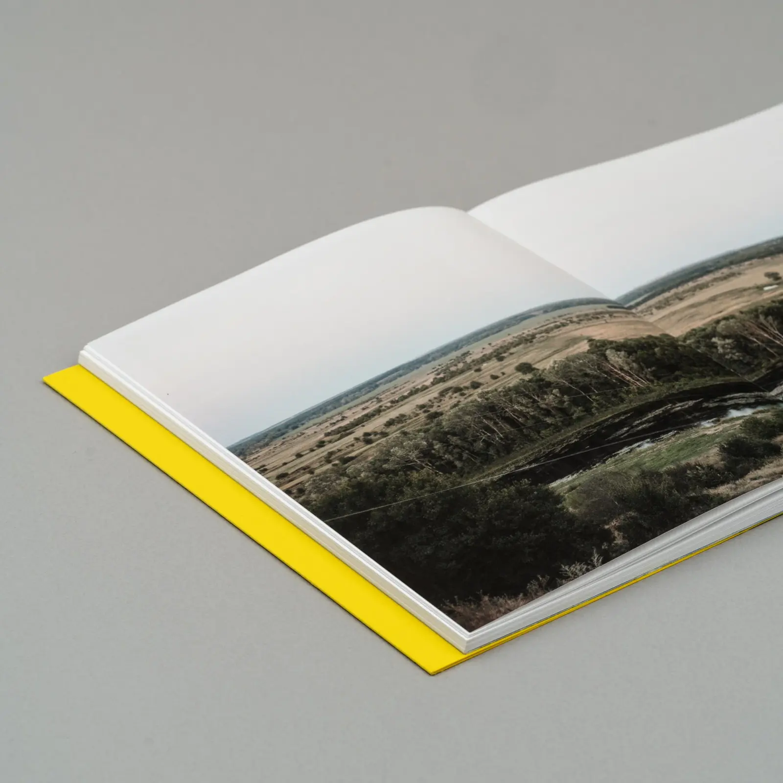 ‘The Land is Yellow, the Sky is Blue' image 6