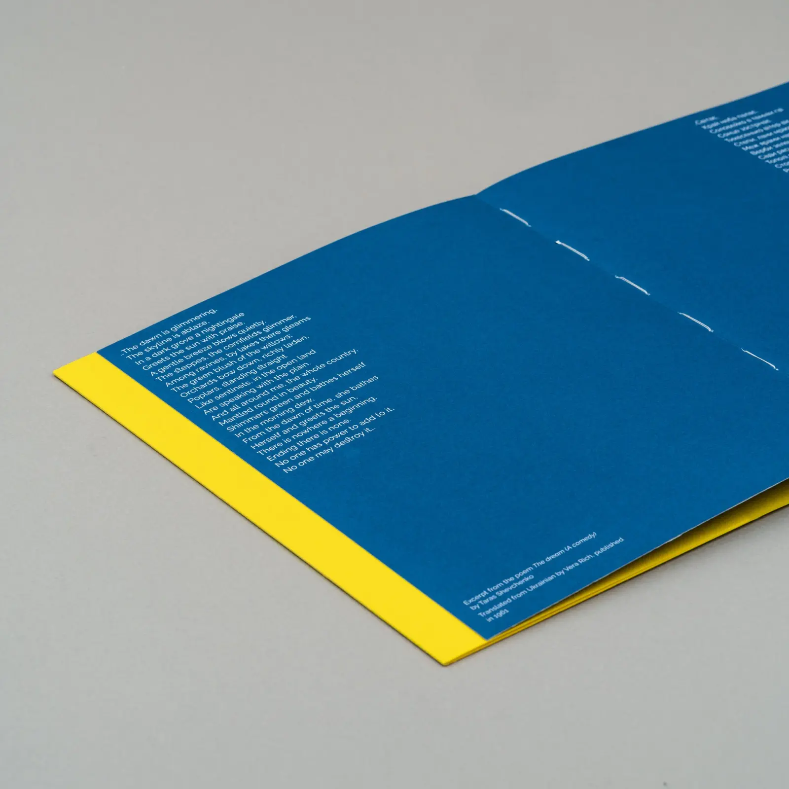 ‘The Land is Yellow, the Sky is Blue' image 7