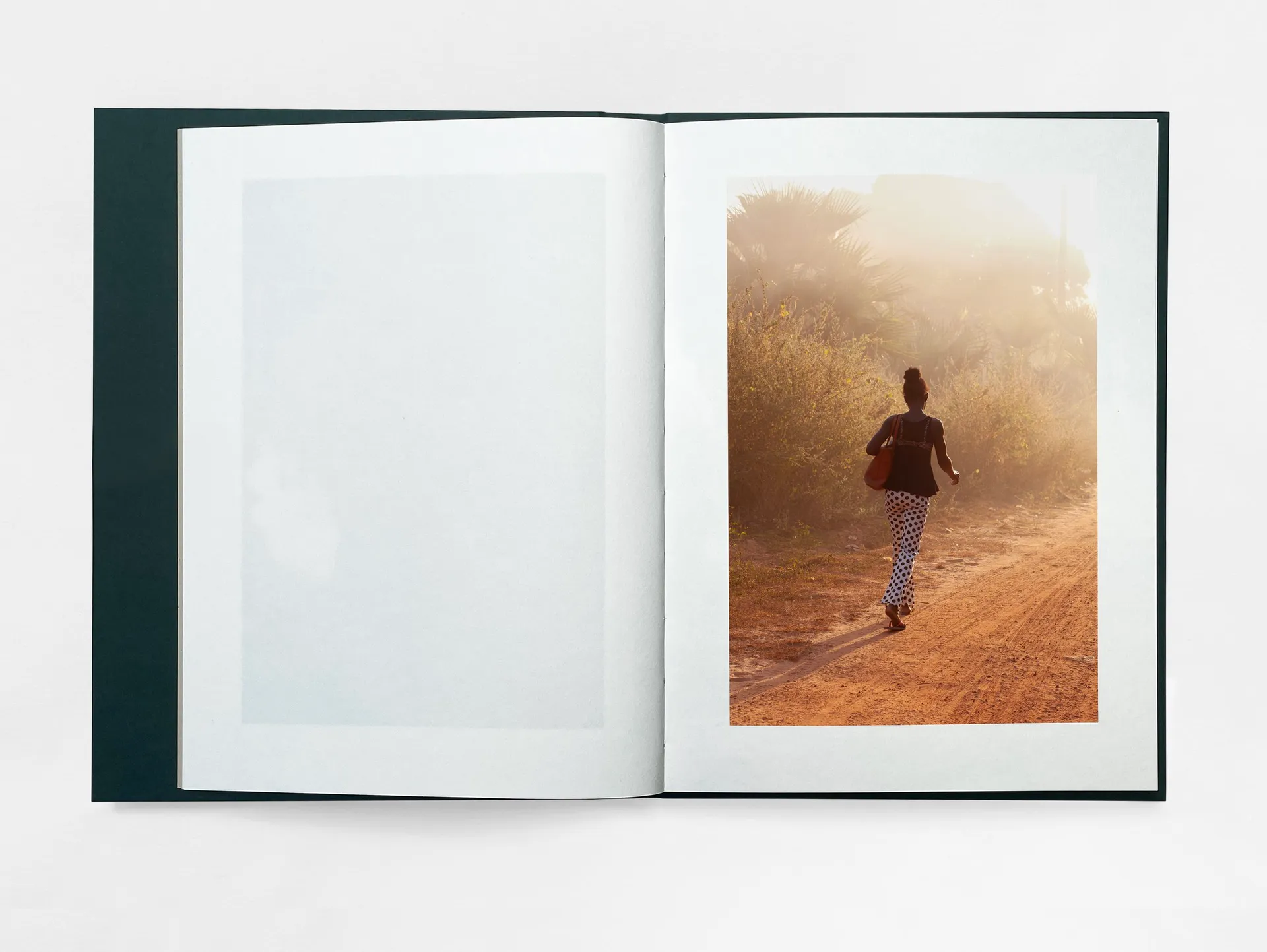 The Land of Haunted Forests image 2