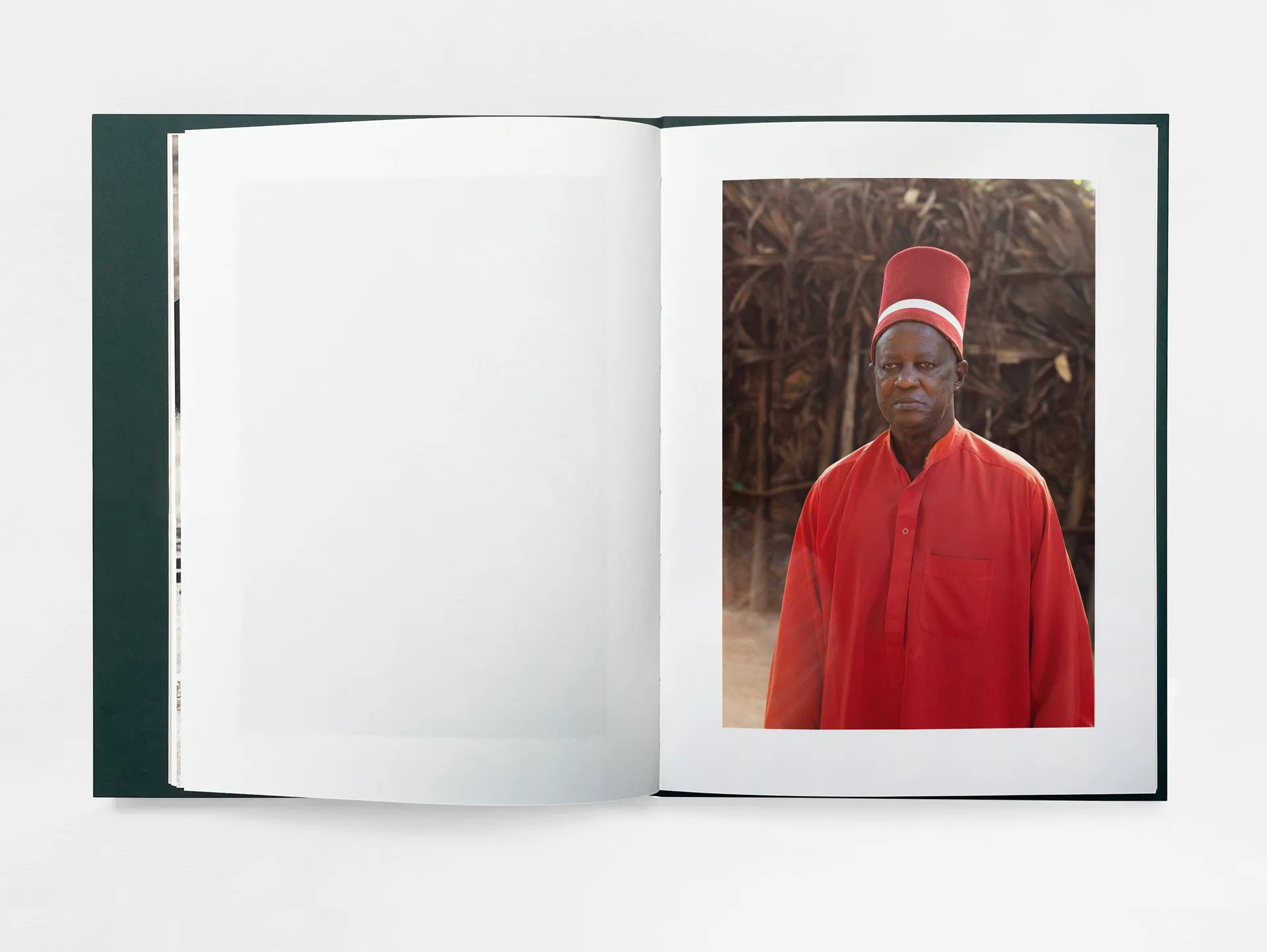 The Land of Haunted Forests image 5