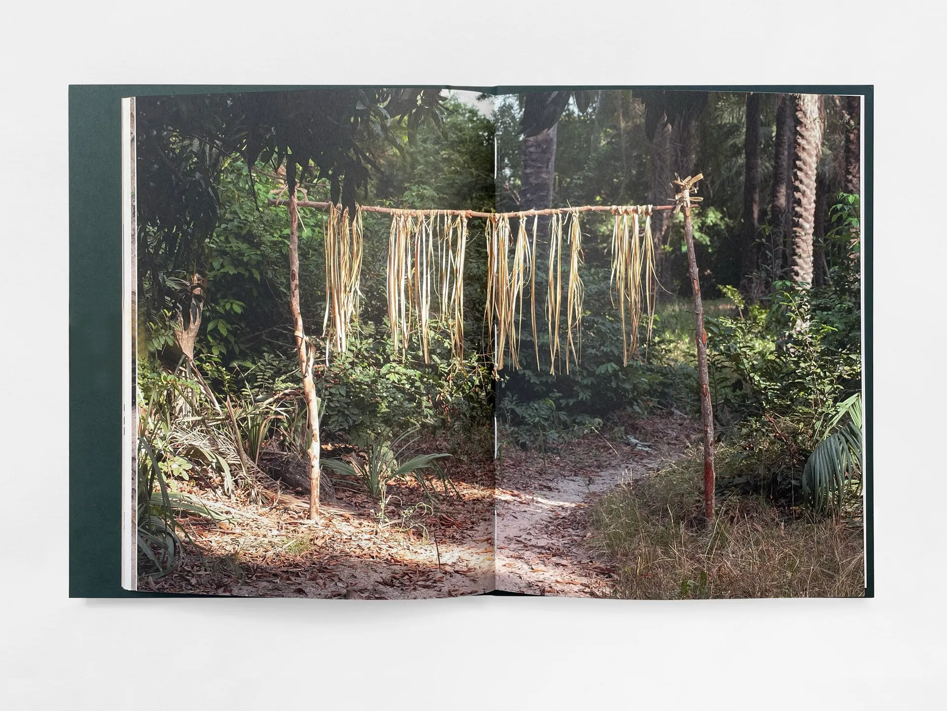 The Land of Haunted Forests image 6