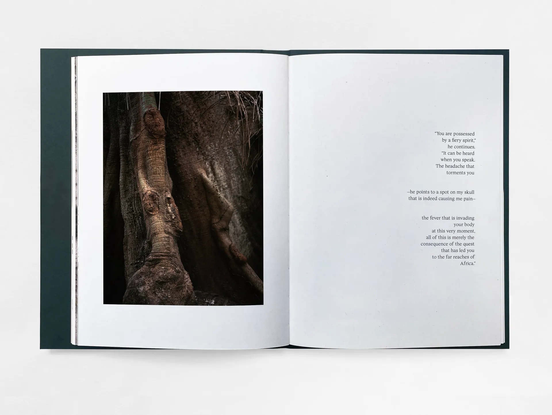 The Land of Haunted Forests image 7