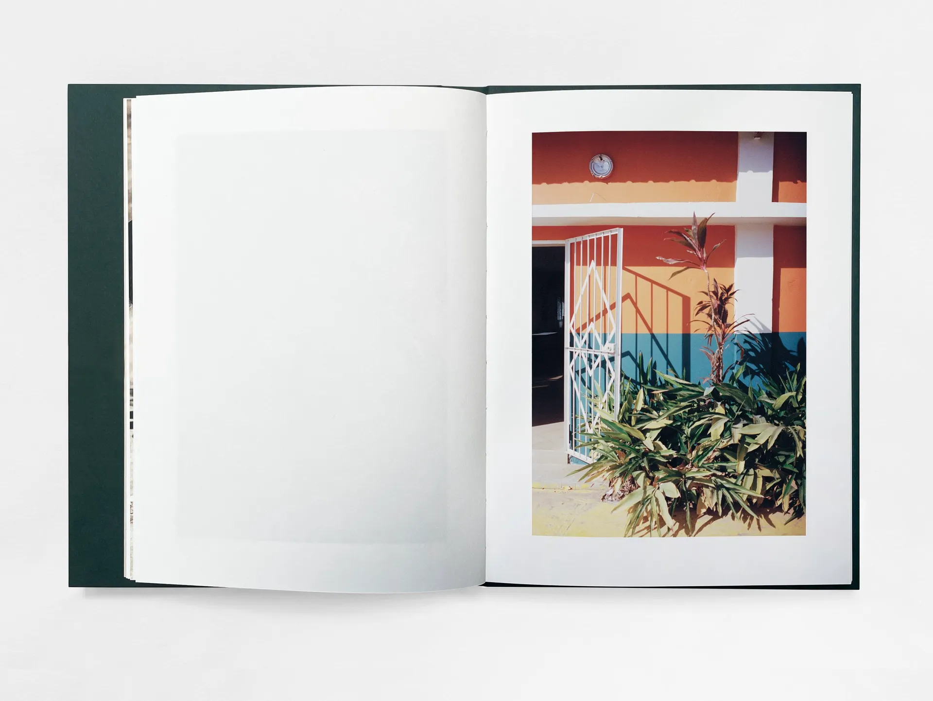 The Land of Haunted Forests image 8