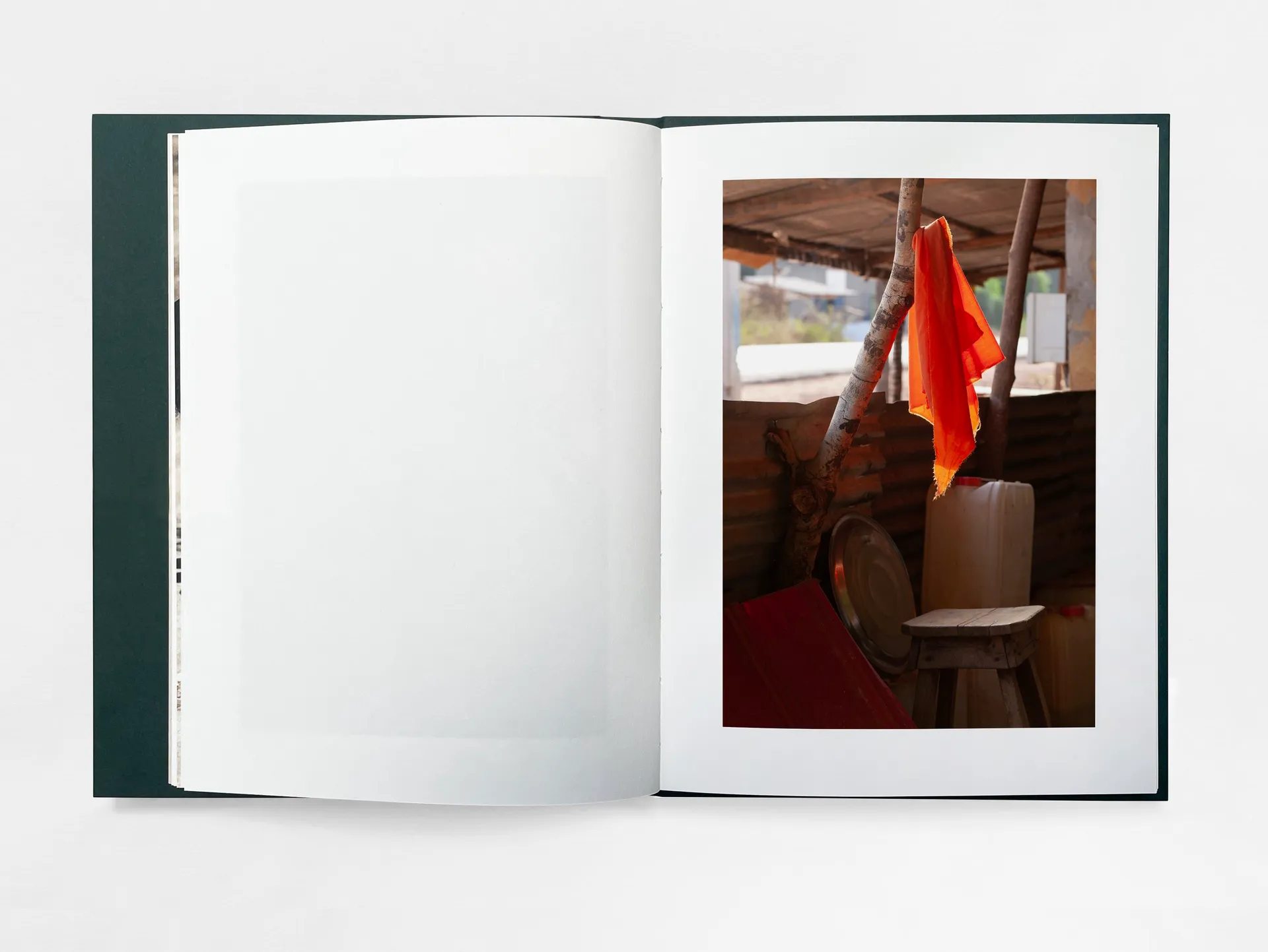 The Land of Haunted Forests image 10