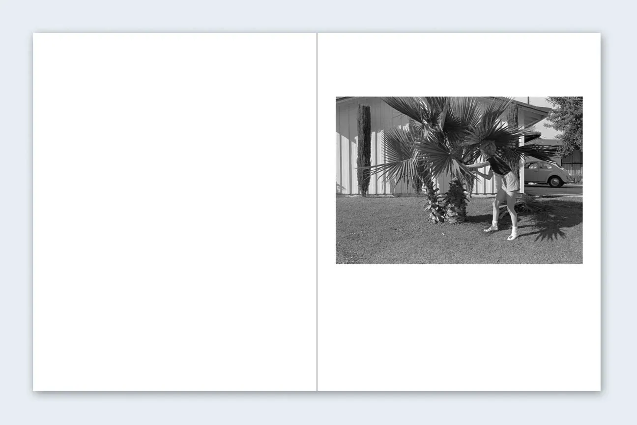 San Fernando Valley image 11