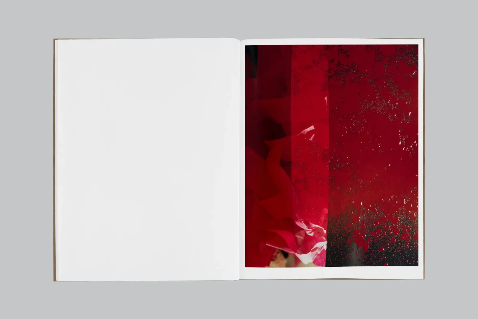 More Somehow image 4