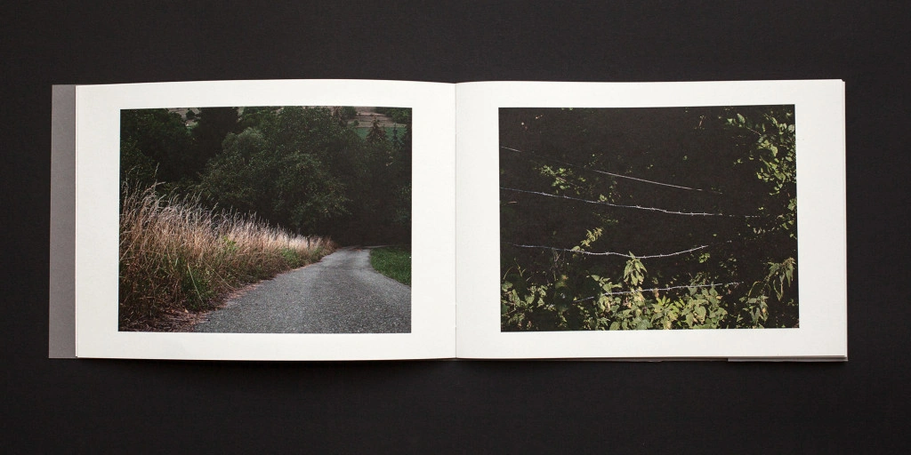 Dérive #2. A Sort Of Homecoming  image 3