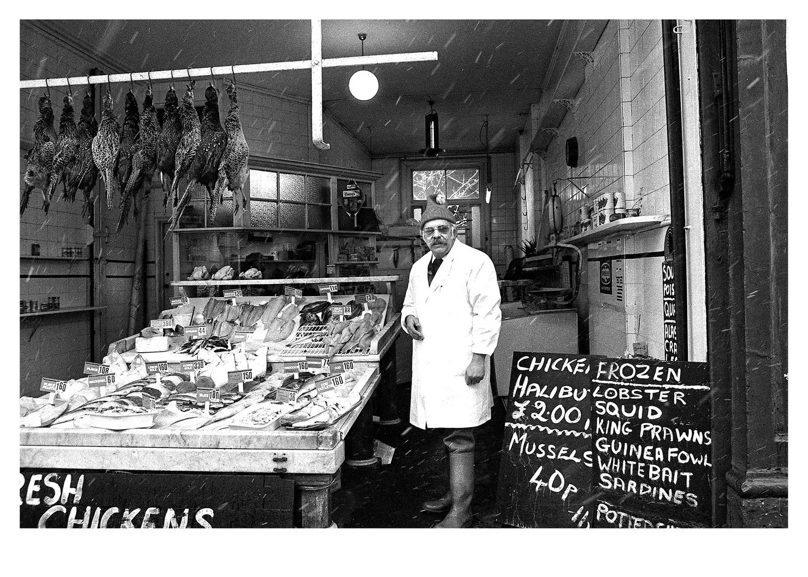 Bristol Gardens, Maida Vale, London 1970s & 80s, 2 Books image 5