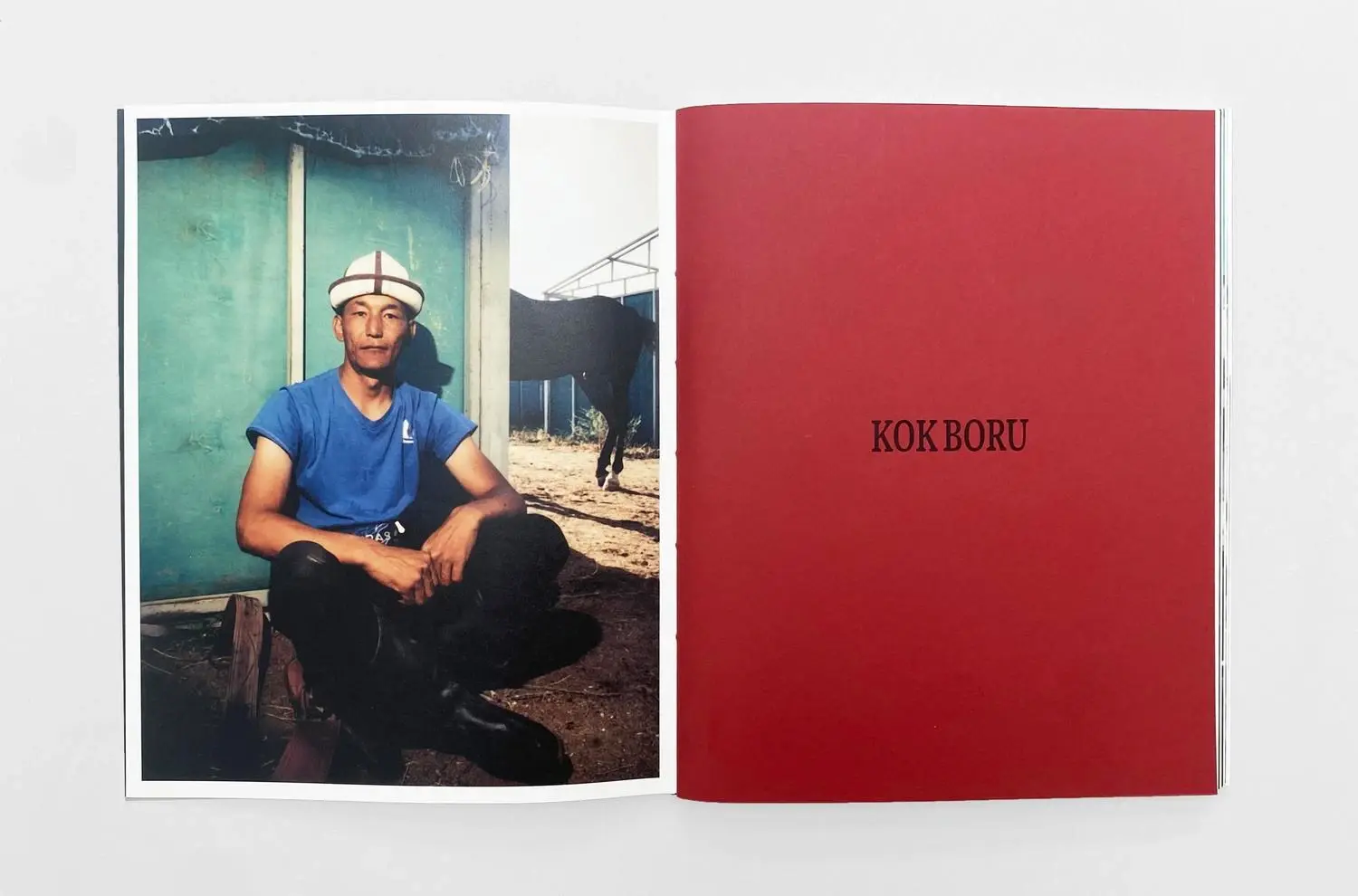 Kok Boru image 2