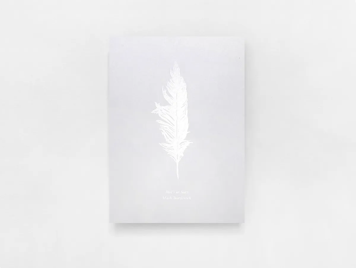 Bird’s set Sun’s