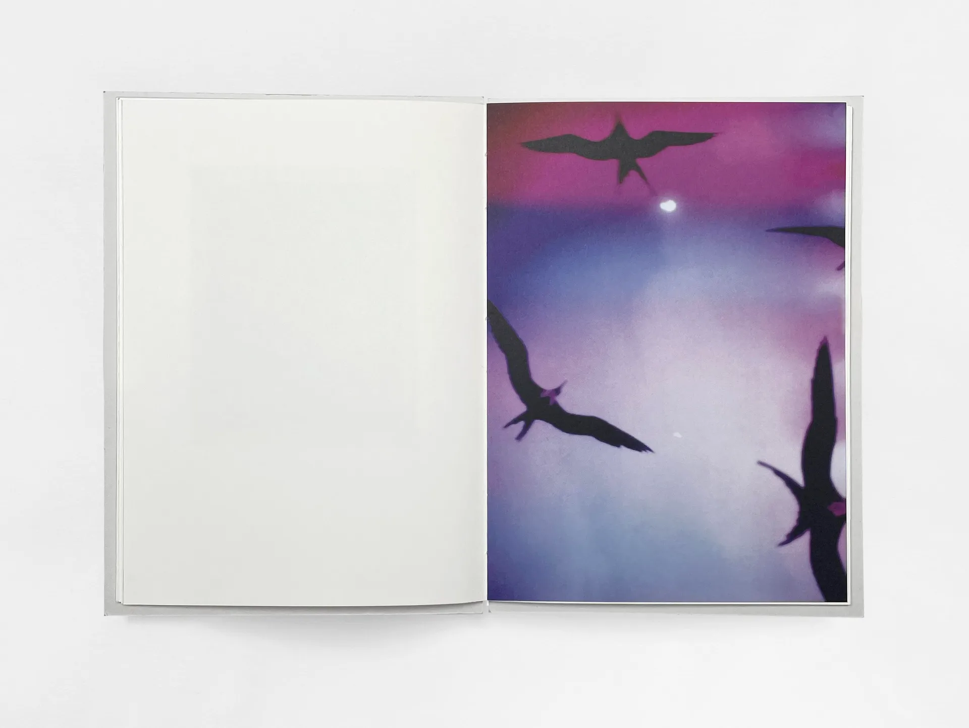 Bird’s set Sun’s image 7