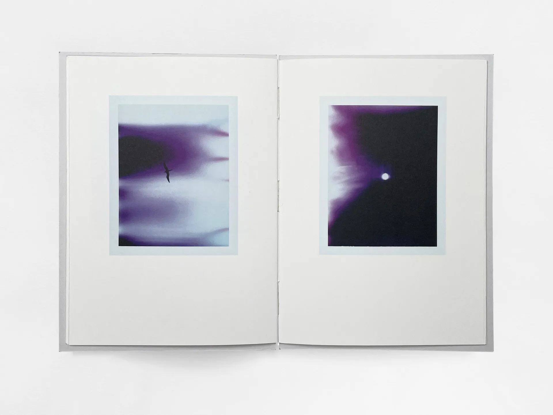 Bird’s set Sun’s image 8