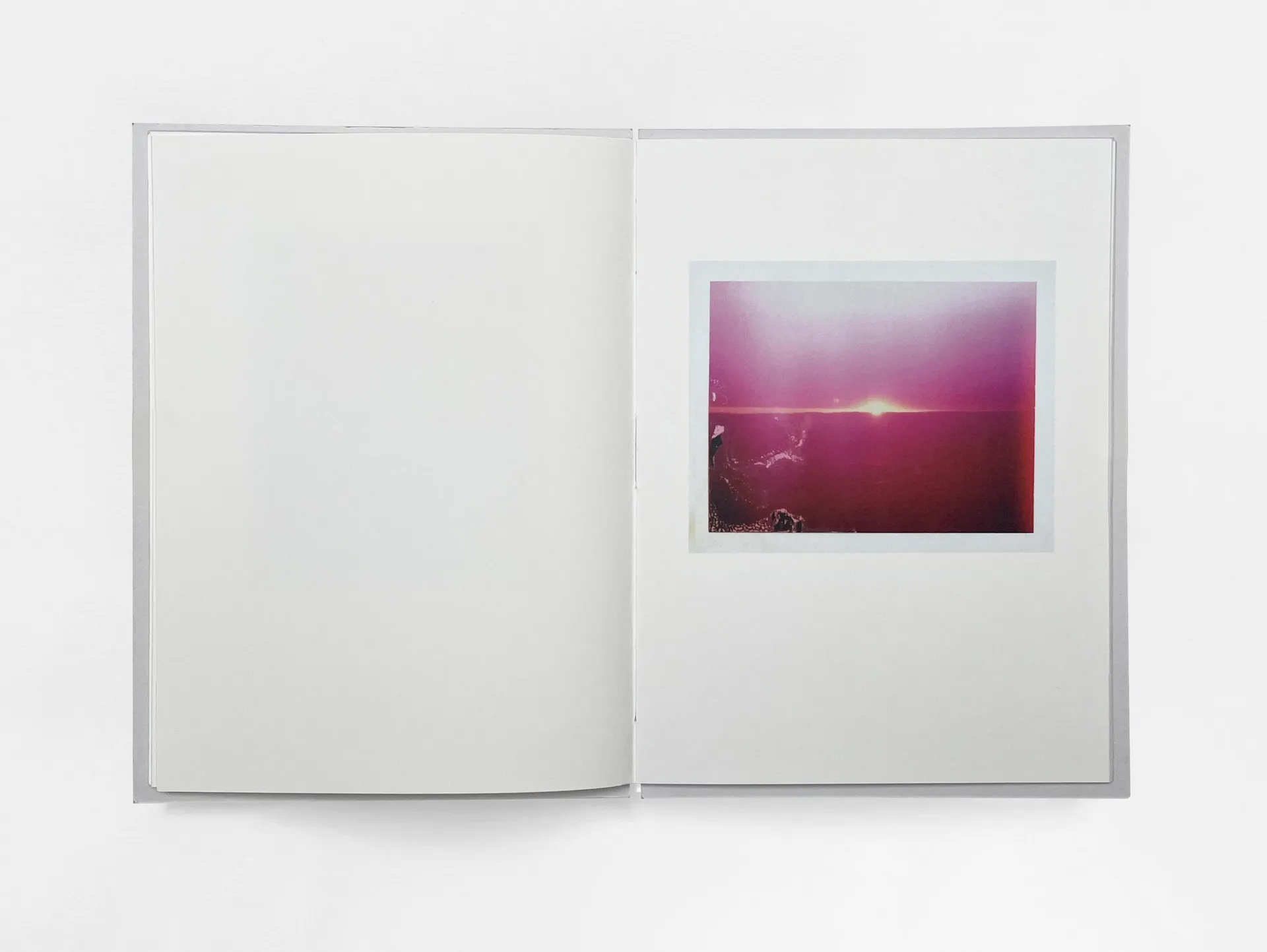 Bird’s set Sun’s image 9