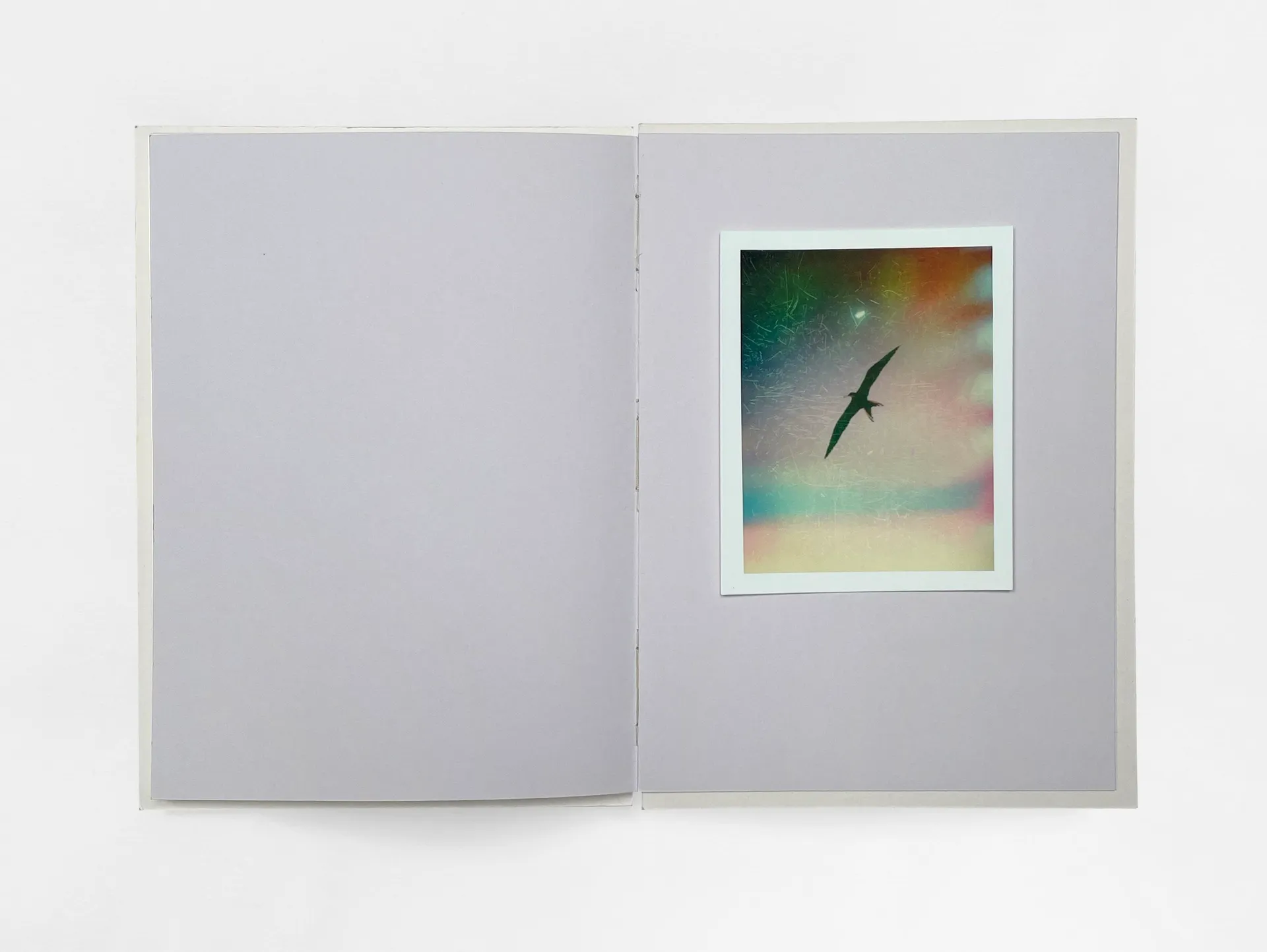 Bird’s set Sun’s image 11