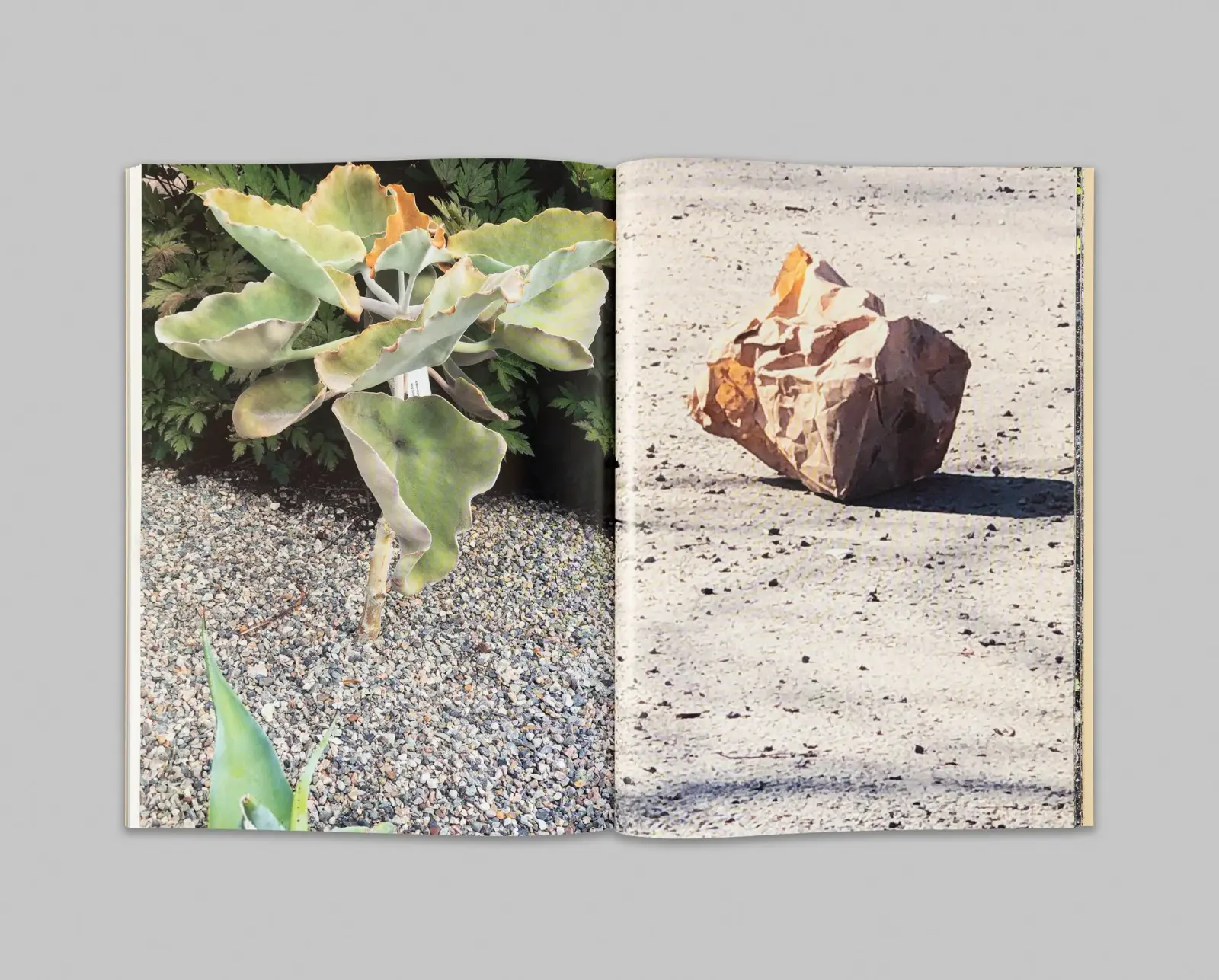 Eating at Conjuction image 2